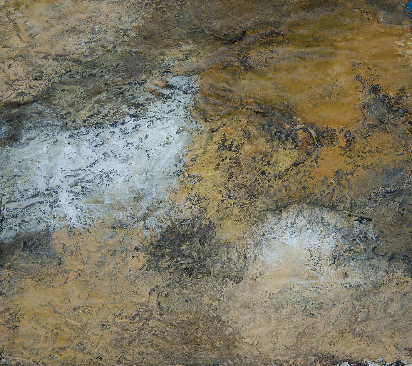 Obra 00195, Gather, Estela Aguirre
